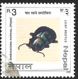 [Insects, Scrivi WV]