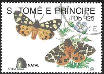 [Christmas - Butterflies, Tip AFK]