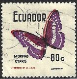 [Butterflies, type BBH]