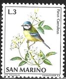 [Birds, type YZ]
