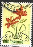 [Flowers, jenis YF]