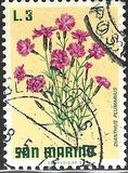 [Flowers, jenis YH]