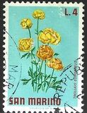 [Flowers, jenis YI]