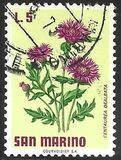 [Flowers, jenis YJ]