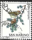 [Birds, type YY]