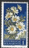 [Flowers & Monte Titano, タイプ IW]