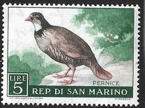 [Birds, ประเภท LK]