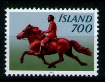 [Icelandic Pony with Rider, type MV]
