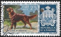 [Dog Breeds, type II]