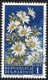 [Flowers & Monte Titano, タイプ IW]