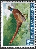[Birds, ประเภท LN]