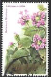 [Flowers, Вид IM]