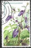 [Flowers, 類型 IS]