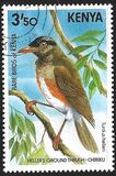 [Birds, type JY]