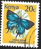 [Butterflies, type OY]