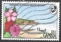 [Gambian Life, tip AEW]