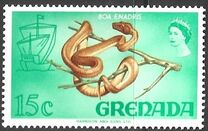 [Fauna and Flora, type DB]