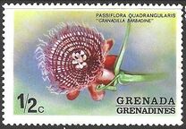 [Flowers - Issues of 1975 of Grenada, but inscribed "GRENADINES", type BB]
