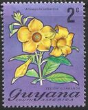 [Local Flowers, Tip DM]