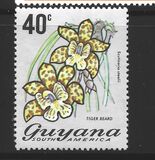 [Local Flowers, Tip DU]