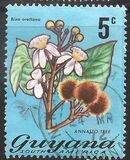 [Local Flowers, Tip DO]