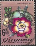 [Local Flowers, Tip DP]