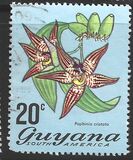 [Local Flowers, Tip DS]