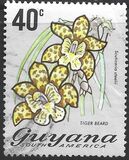 [Local Flowers, Tip DU]