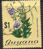 [Local Flowers, Tip DX]