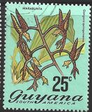 [Local Flowers, type EM]