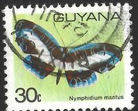 [Butterflies, type IR]