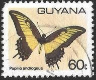 [Butterflies, type IS]