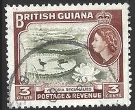 [Local Motives, tyyppi BV]