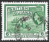 [Local Motives, tyyppi BY]