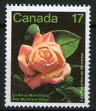 [Montreal Flower Show, Вид AAO]