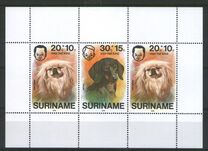 [Child Welfare - Pet Dogs, տեսակ AHD]