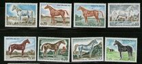 [Horses, type ALS]