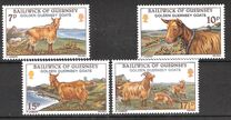 [Golden Guernsey Goats, type GE]