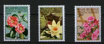 [flowers - Botanical Garden in Gent, type ALK]
