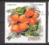 [Flowers of Guinea, typ OZ]