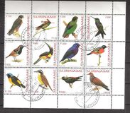 [Fauna - Birds, veids BWQ]