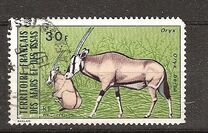 [Wildlife, 类型 YM]