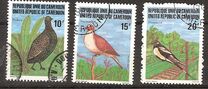 [Birds, Tipi YC]