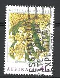[Australia Day, 类型 AMZ]