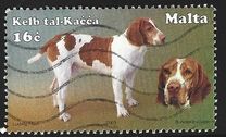 [Dogs, type AKB]