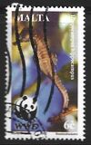 [WWF - Seahorse, type AKJ]