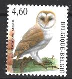 [Barn Owl, type DTN]