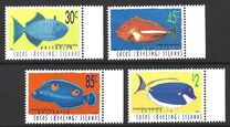[Fish, ประเภท ML]