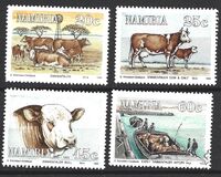 [The 100th Anniversary of Simmentalar Cattle in Namibia, نوع BU]
