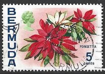 [Flowers, type EF]